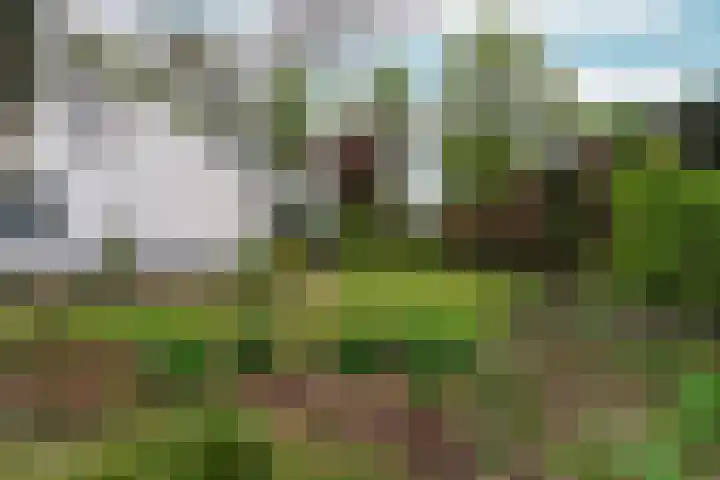 d'Almarasweg 14 Nijmegen thumbnail 75