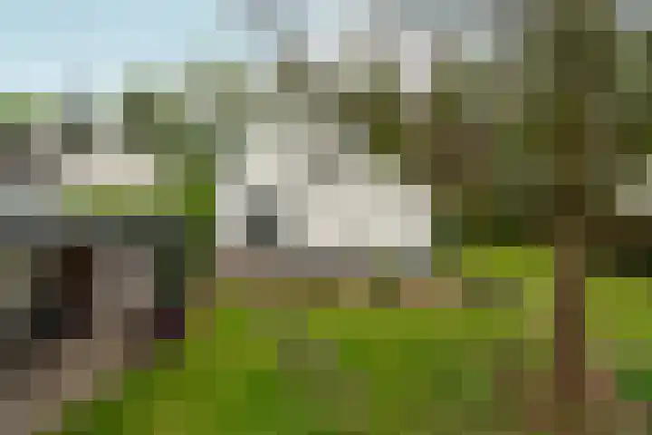 d'Almarasweg 14 Nijmegen thumbnail 76
