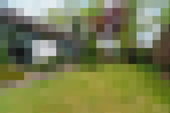 d'Almarasweg 14 Nijmegen thumbnail 78