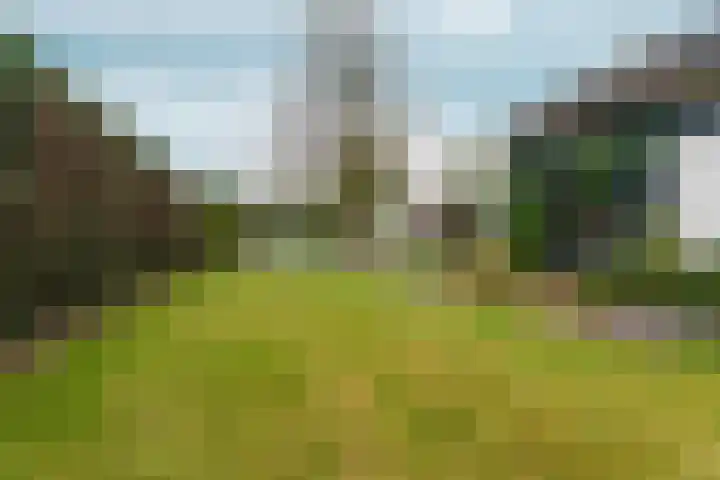 d'Almarasweg 14 Nijmegen thumbnail 80