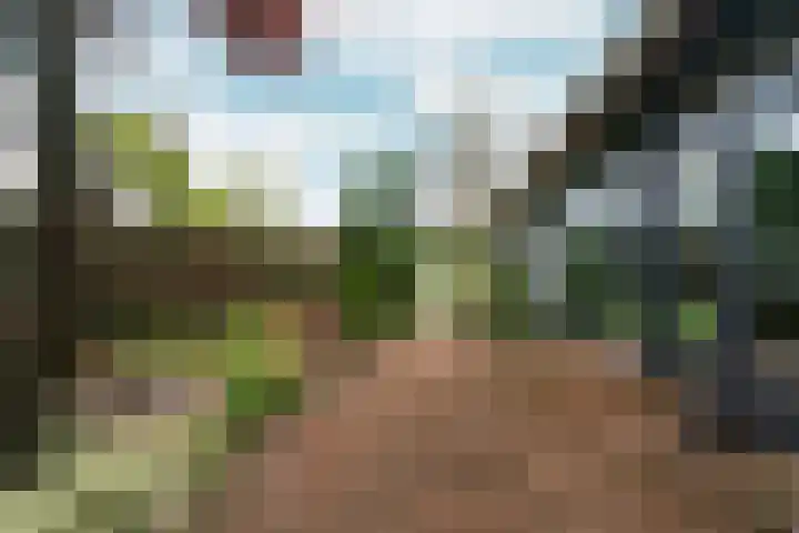 d'Almarasweg 14 Nijmegen thumbnail 81