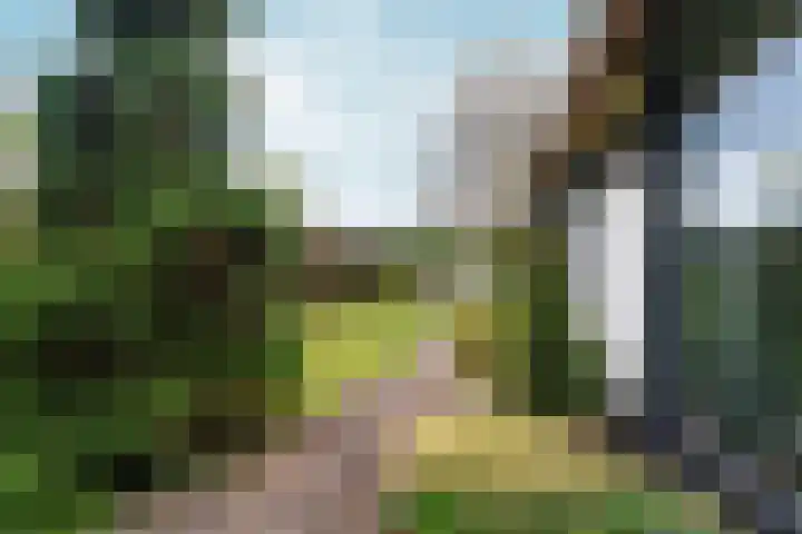 d'Almarasweg 14 Nijmegen thumbnail 82