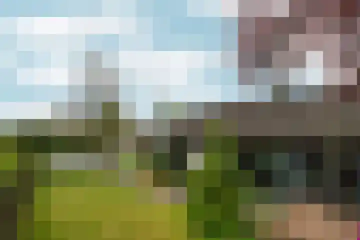 d'Almarasweg 14 Nijmegen thumbnail 84