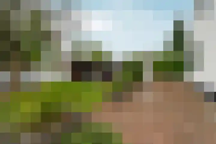 d'Almarasweg 14 Nijmegen thumbnail 85