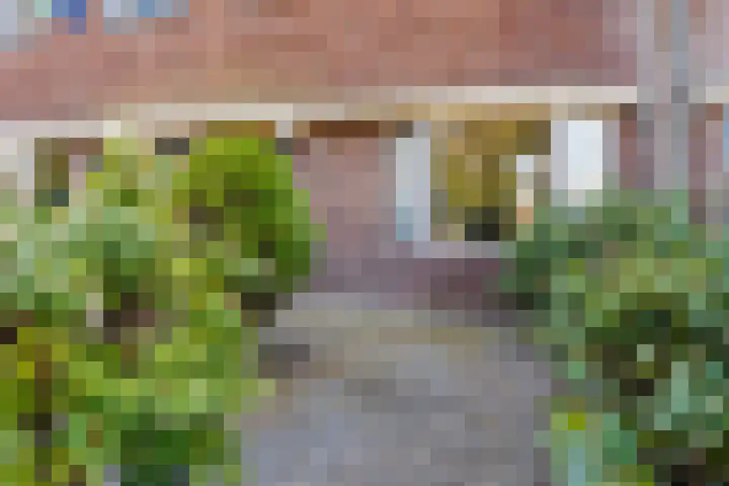 d'Almarasweg 169 Nijmegen thumbnail 6