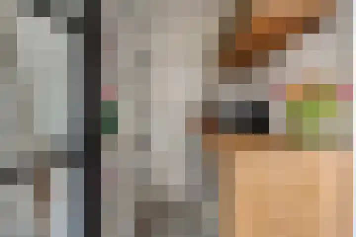 d'Artagnanlaan 16 Maastricht thumbnail 12