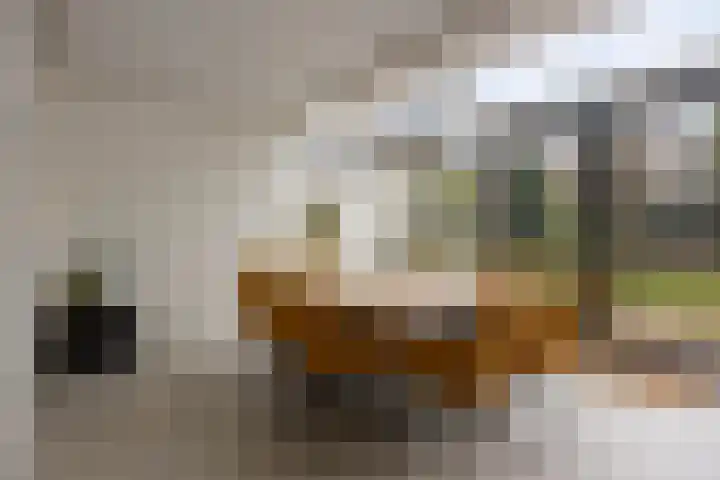 d'Artagnanlaan 16 Maastricht thumbnail 13
