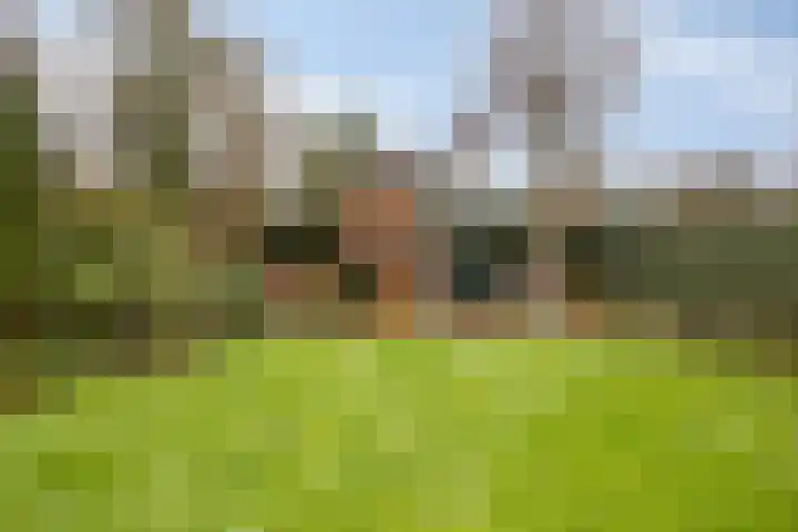 d'Artagnanlaan 16 Maastricht thumbnail 15