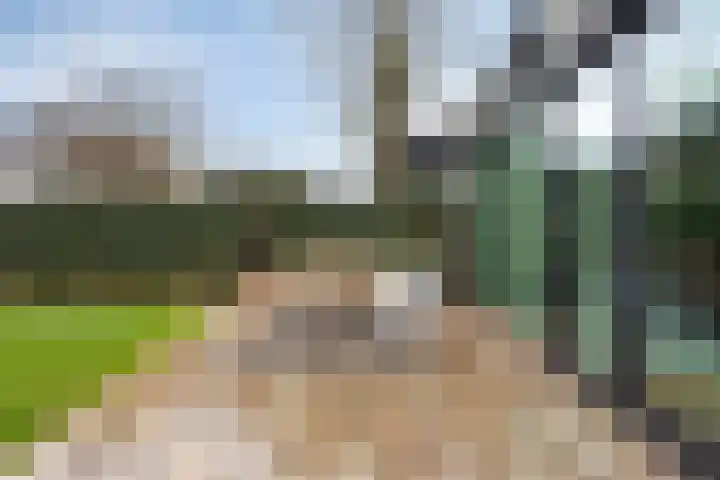 d'Artagnanlaan 16 Maastricht thumbnail 17