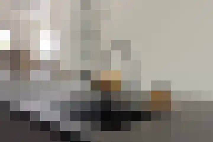 d'Artagnanlaan 16 Maastricht thumbnail 23