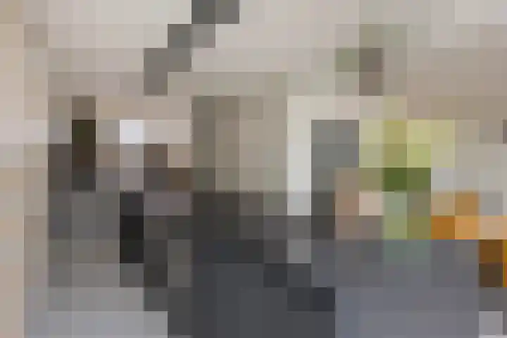 d'Artagnanlaan 16 Maastricht thumbnail 25