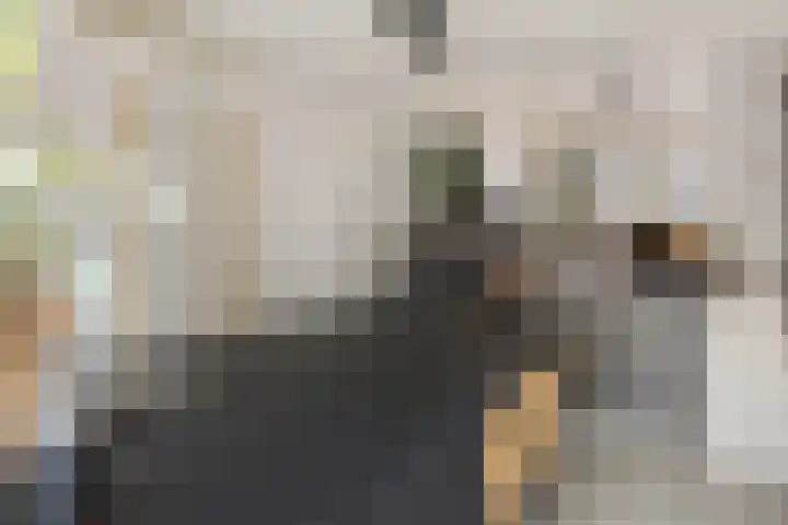 d'Artagnanlaan 16 Maastricht thumbnail 26
