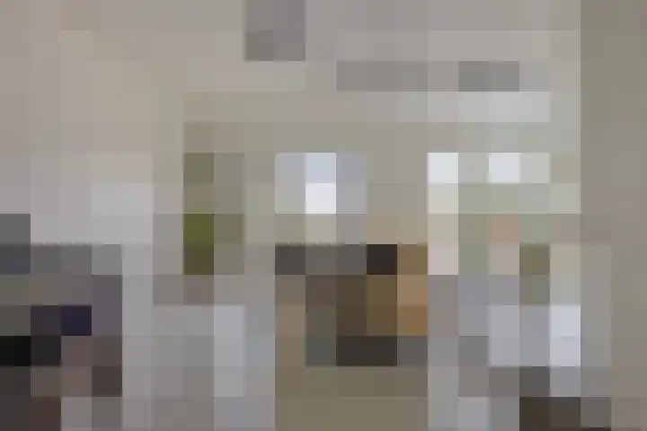 d'Artagnanlaan 16 Maastricht thumbnail 27