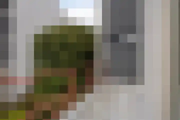 d'Artagnanlaan 16 Maastricht thumbnail 32