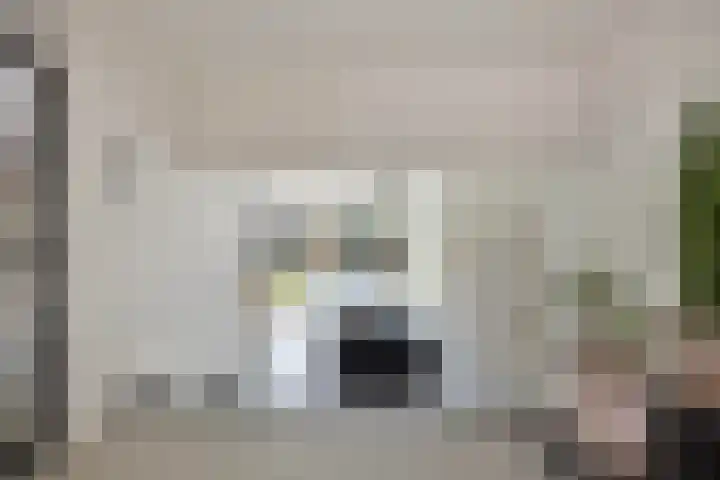 d'Artagnanlaan 16 Maastricht thumbnail 33