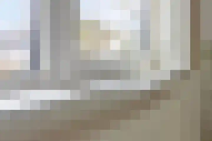 d'Artagnanlaan 16 Maastricht thumbnail 36