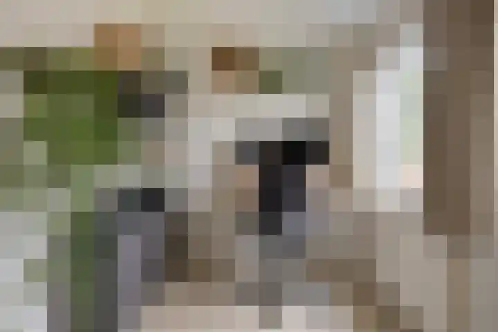 d'Artagnanlaan 16 Maastricht thumbnail 38