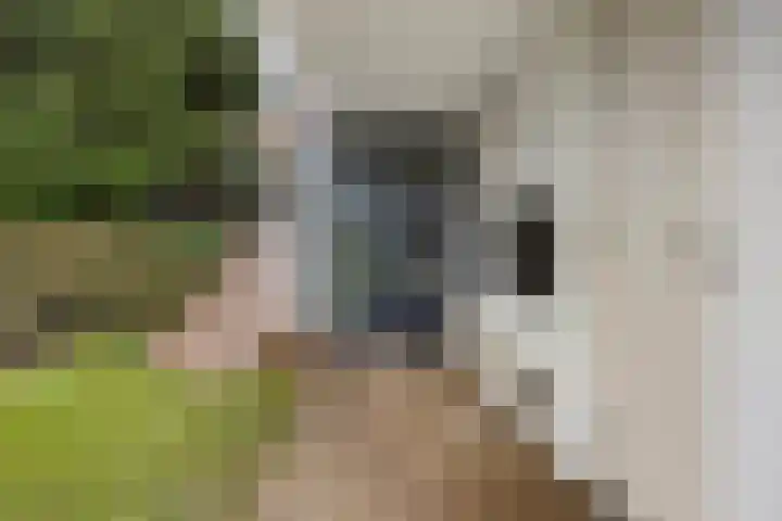 d'Artagnanlaan 16 Maastricht thumbnail 4