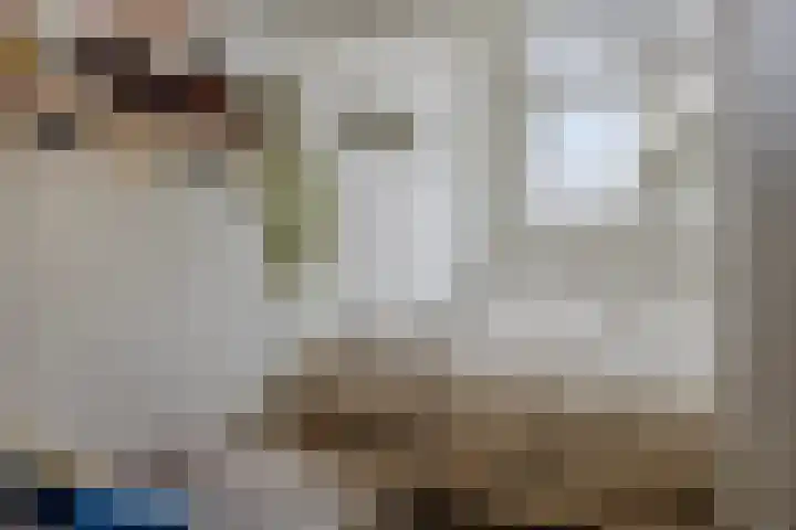 d'Artagnanlaan 16 Maastricht thumbnail 41