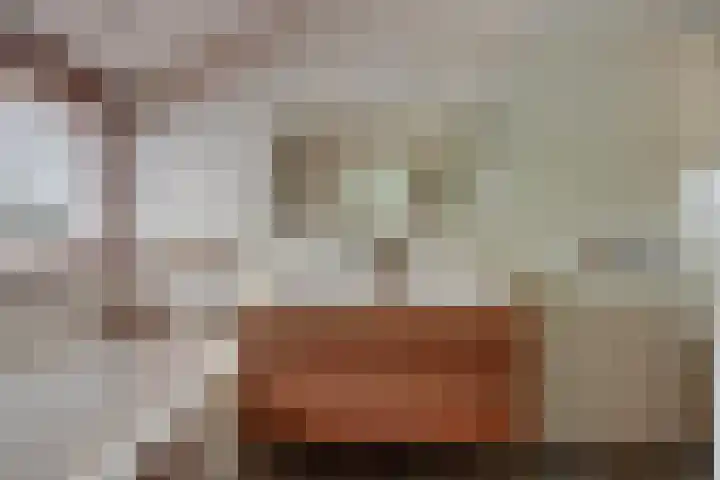 d'Artagnanlaan 16 Maastricht thumbnail 42