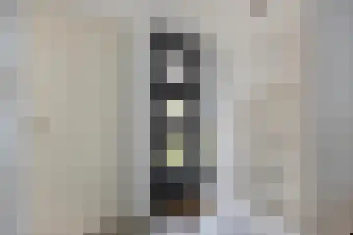 d'Artagnanlaan 16 Maastricht thumbnail 7
