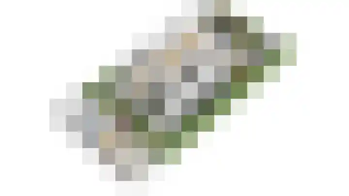 d'Aulnis de Bourouilllaan 11 Baarn thumbnail 53