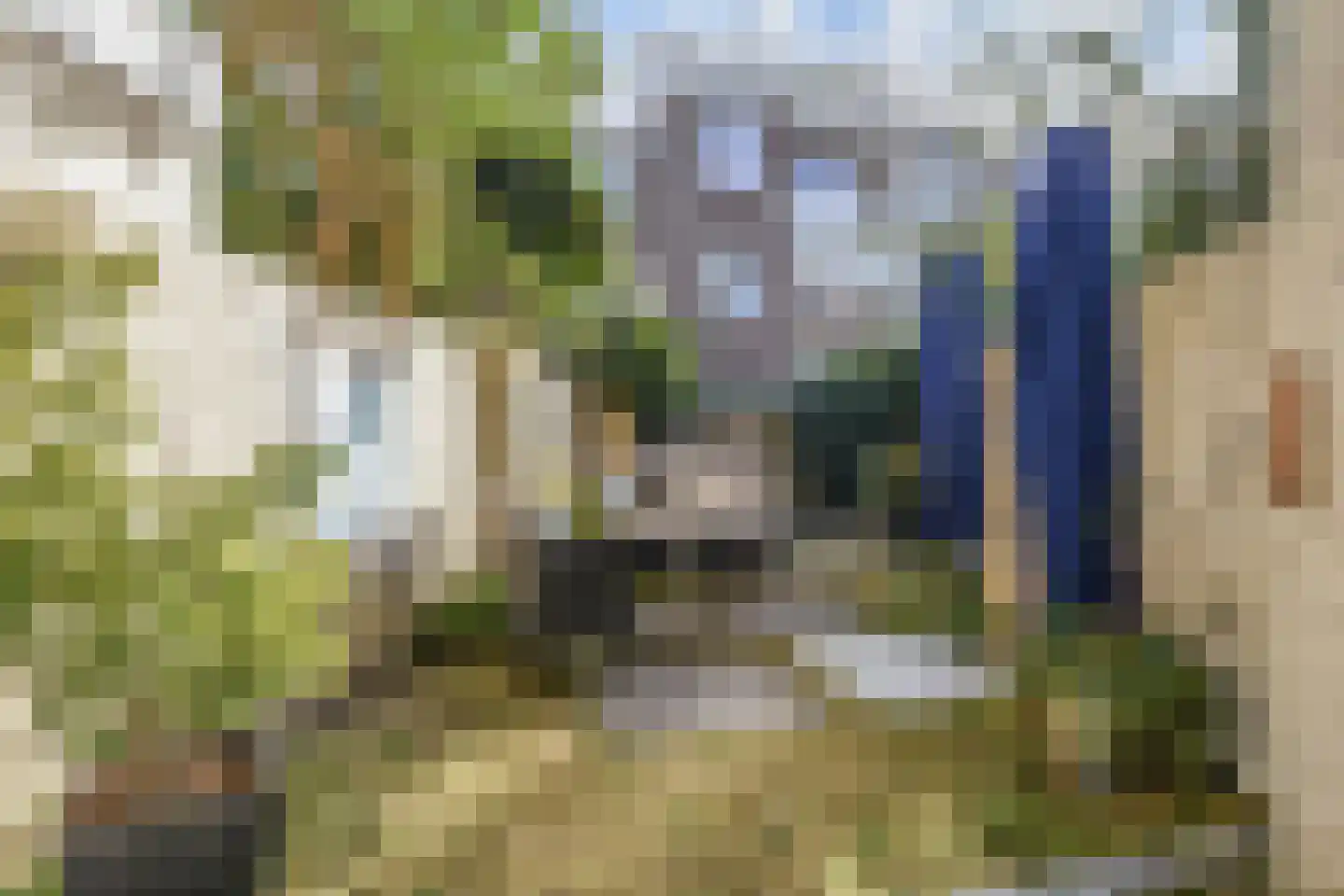 d'Aumeriestraat 2 Den Haag thumbnail 5
