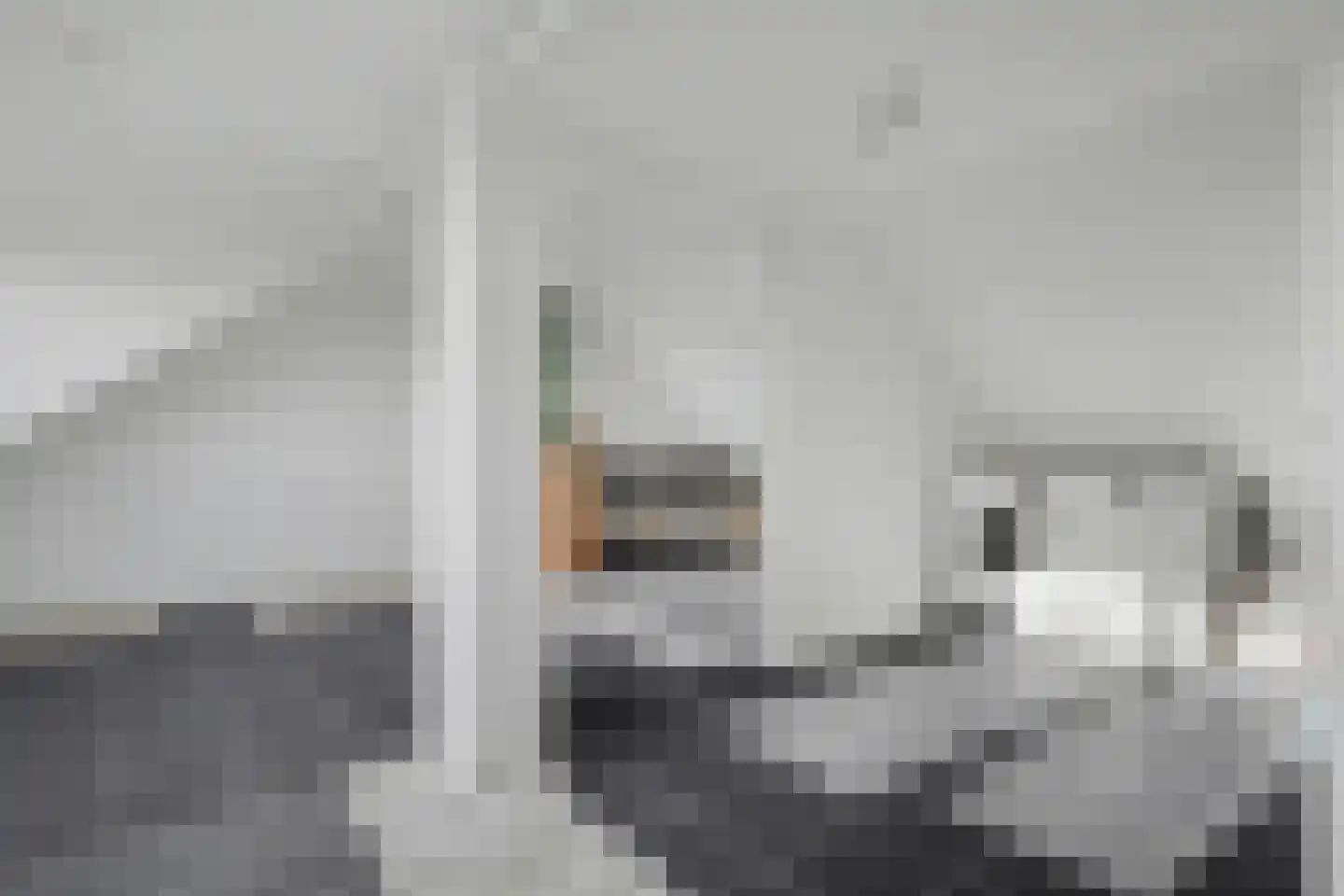 D C Meeslaan 1 Vierpolders thumbnail 25