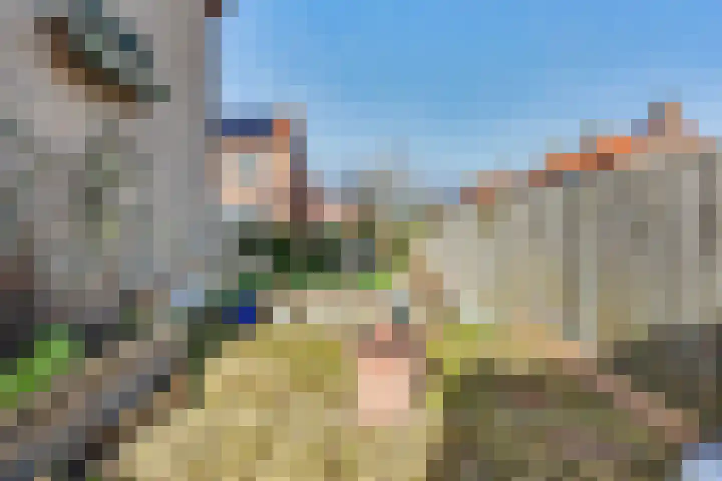 D C Meeslaan 1 Vierpolders thumbnail 28