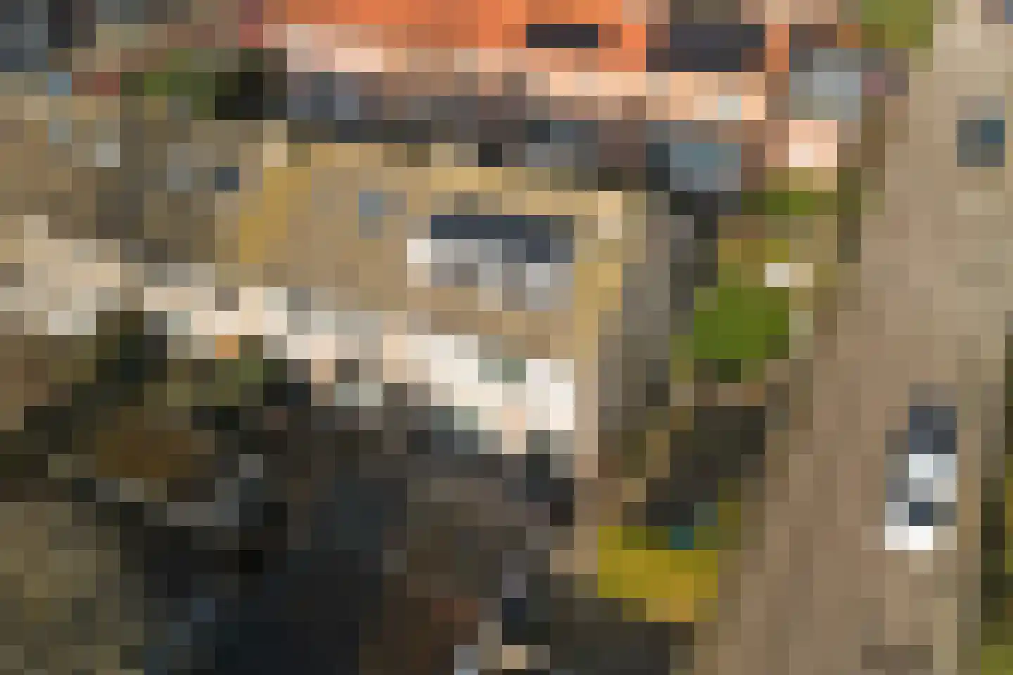 D C Meeslaan 1 Vierpolders thumbnail 31