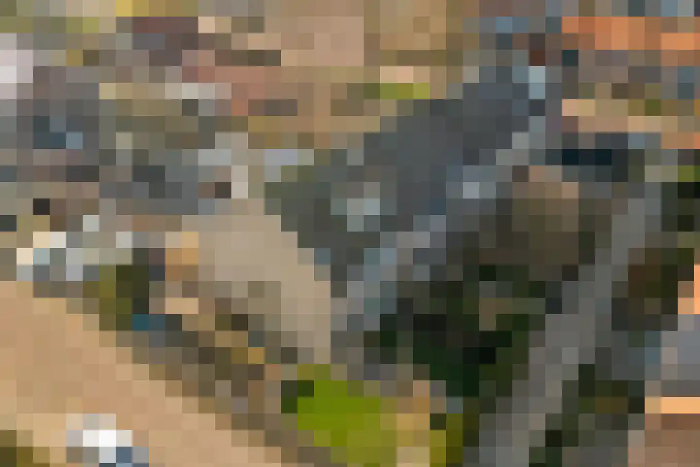 D C Meeslaan 1 Vierpolders thumbnail 32