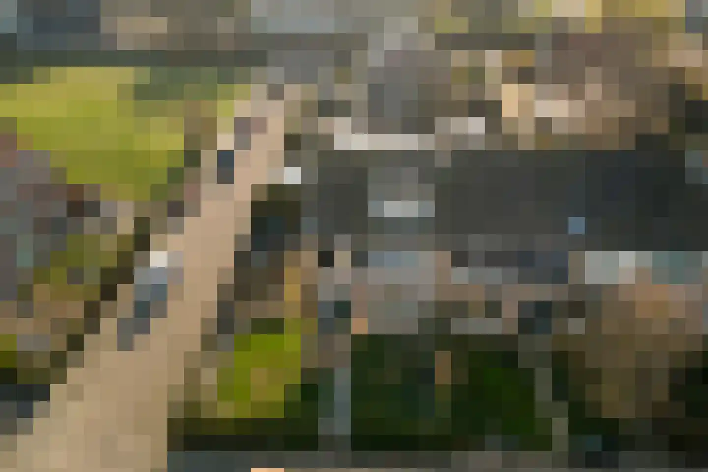 D C Meeslaan 1 Vierpolders thumbnail 33
