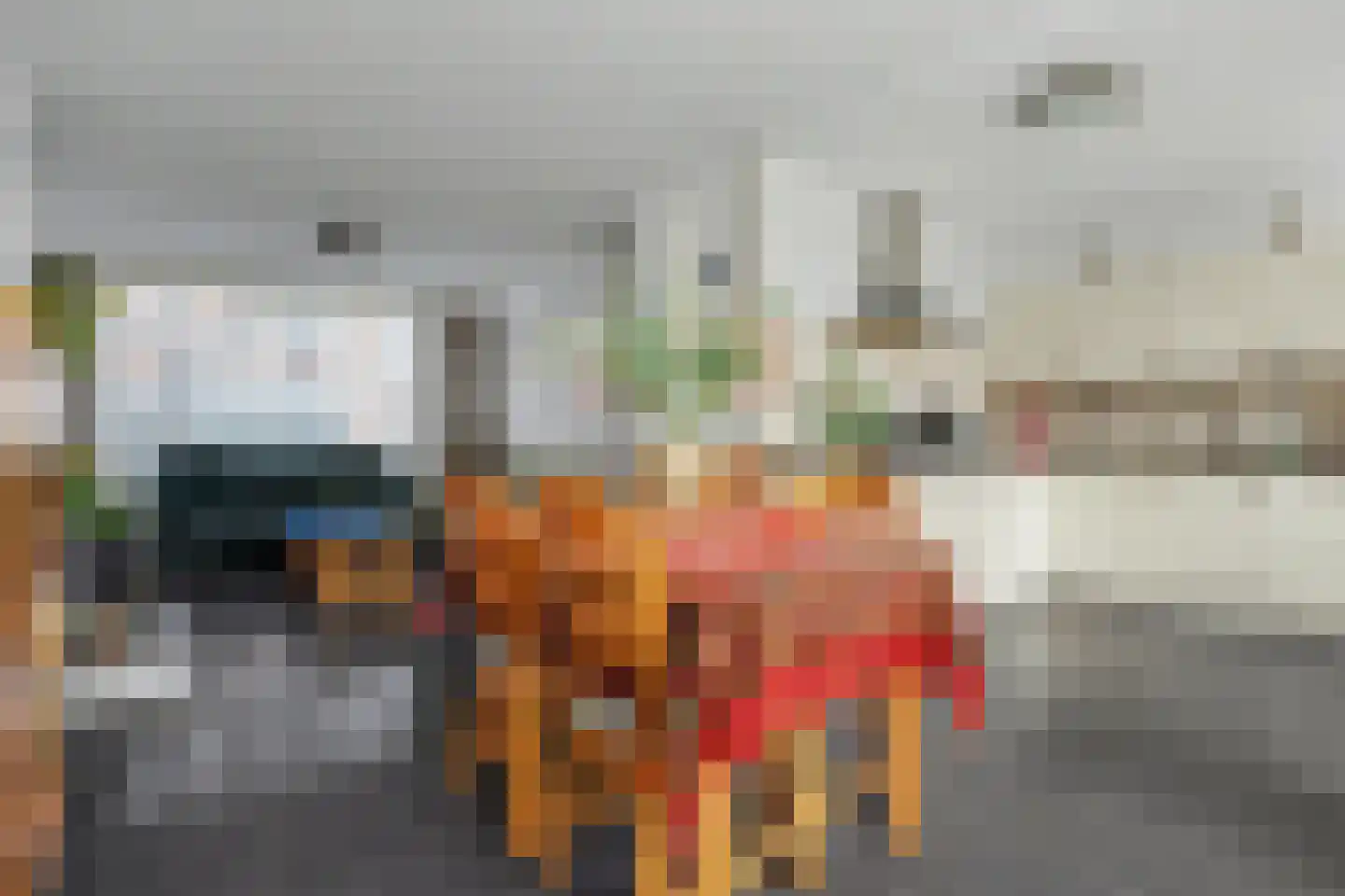 D C Meeslaan 1 Vierpolders thumbnail 7