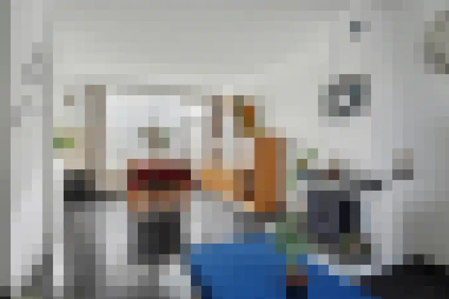 D C Meeslaan 1 Vierpolders thumbnail 8