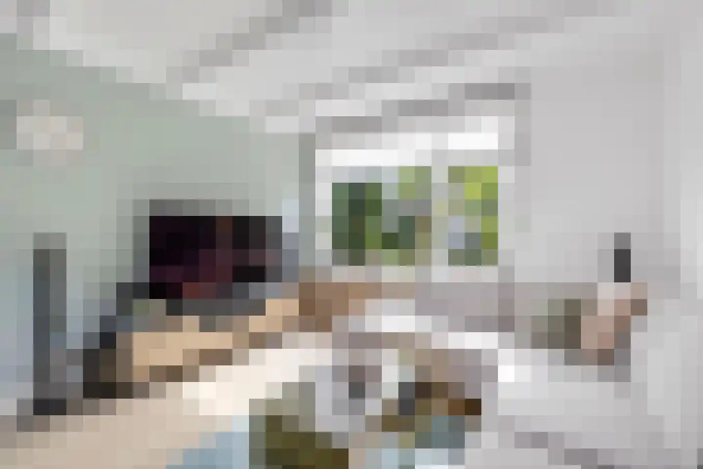 D C Meeslaan 11 Vierpolders thumbnail 12
