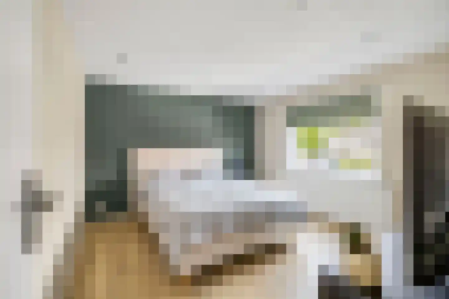 D C Meeslaan 11 Vierpolders thumbnail 18