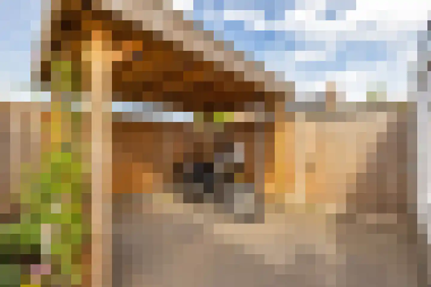 D C Meeslaan 11 Vierpolders thumbnail 27