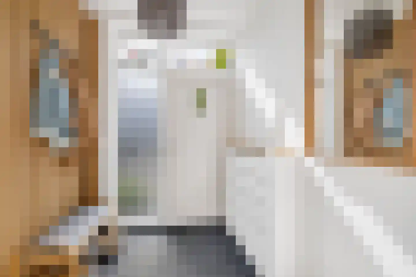 D C Meeslaan 11 Vierpolders thumbnail 8