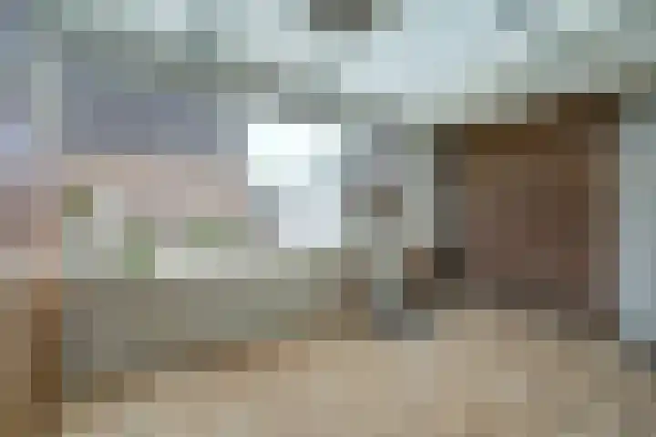 D C Meeslaan 12 Vierpolders thumbnail 10