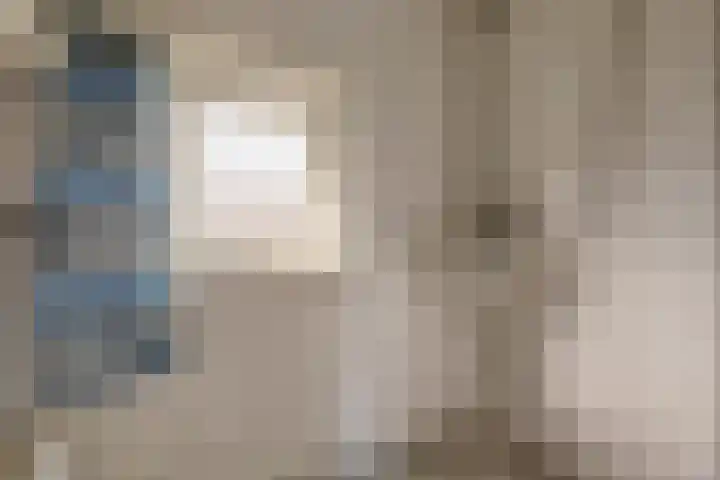 D C Meeslaan 12 Vierpolders thumbnail 16