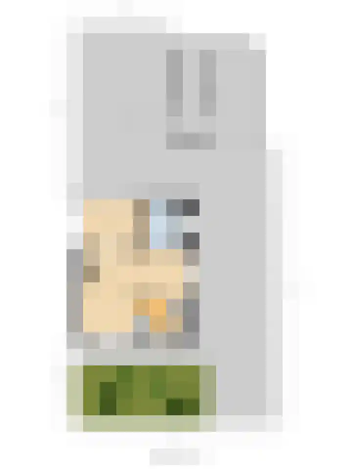 D C Meeslaan 12 Vierpolders thumbnail 19
