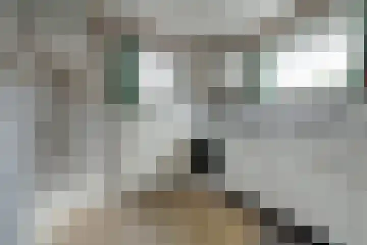 D C Meeslaan 12 Vierpolders thumbnail 5