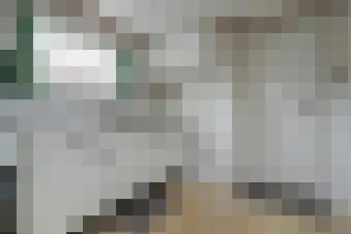 D C Meeslaan 12 Vierpolders thumbnail 6
