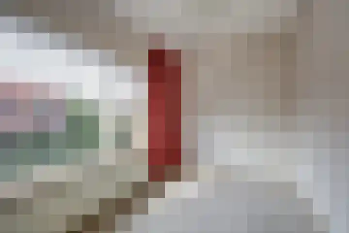 D C Meeslaan 12 Vierpolders thumbnail 8