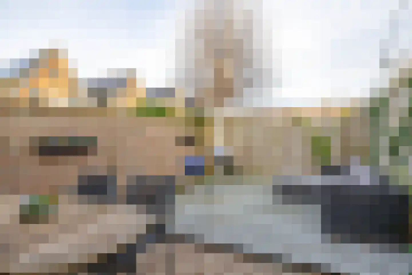 D C Meeslaan 8 Vierpolders thumbnail 23