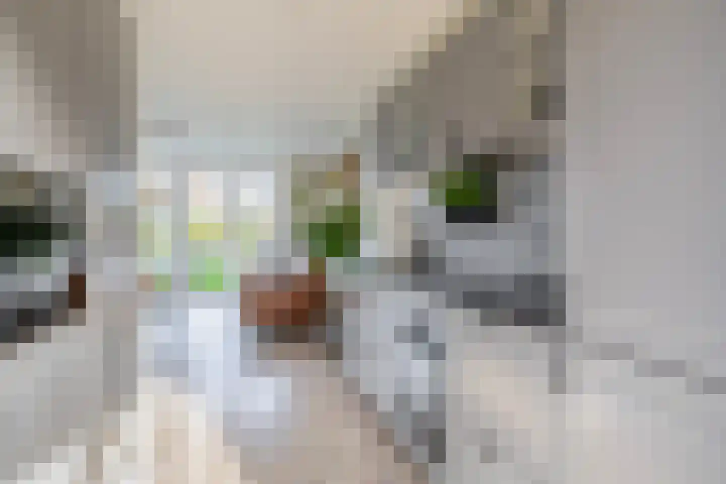 D C Meeslaan 8 Vierpolders thumbnail 33