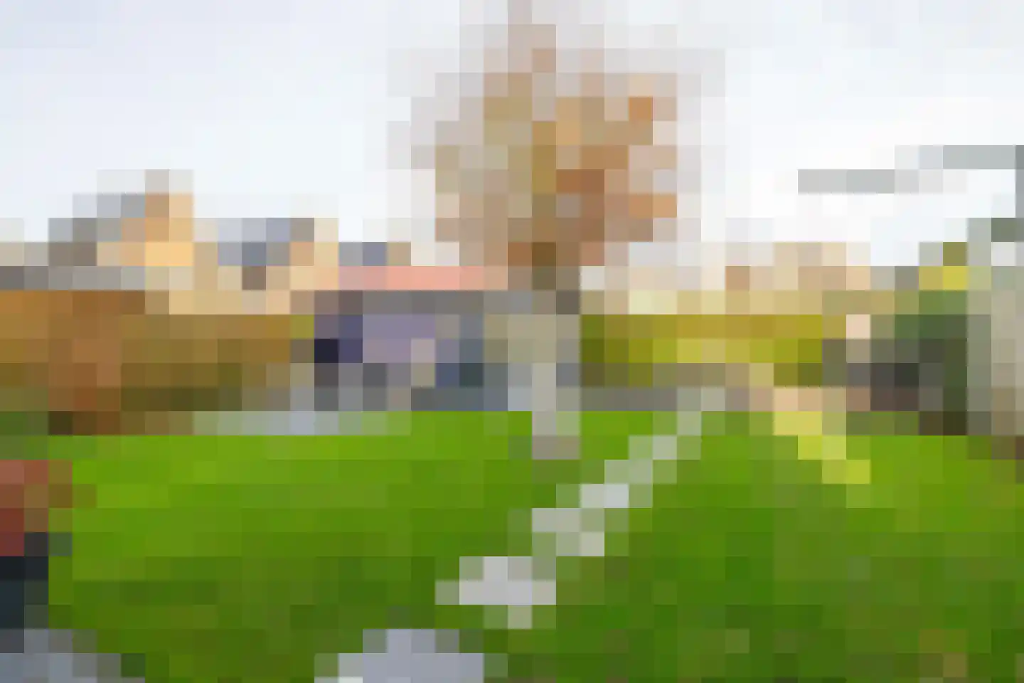 D C Meeslaan 8 Vierpolders thumbnail 36