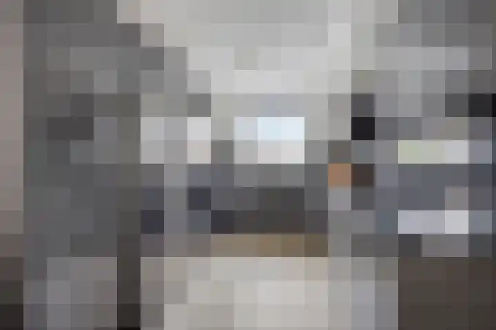 D. de Koninglaan 5 Hekelingen thumbnail 10