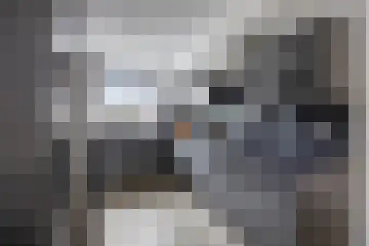 D. de Koninglaan 5 Hekelingen thumbnail 11