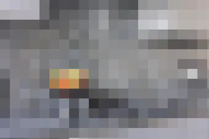 D. de Koninglaan 5 Hekelingen thumbnail 15
